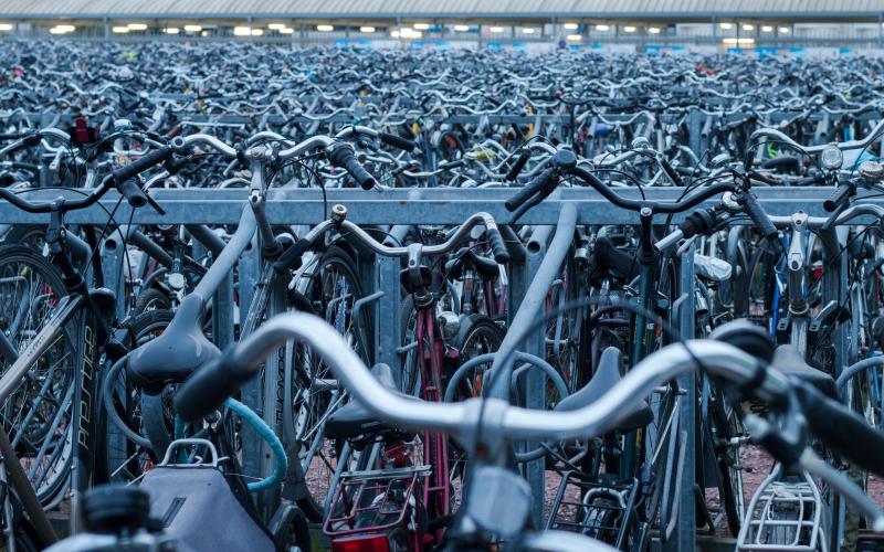 自行车国家：骑自行车如何拯救世界（2017年） - 彼得·沃克